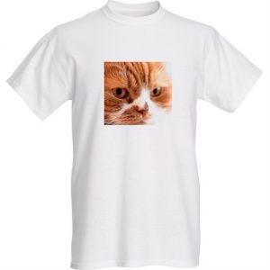 Tシャツ ねこカフェ たまねこ