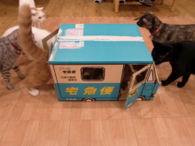 たまねこのブログ