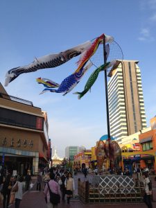 IMG_1033