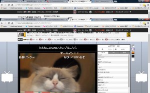 べす