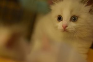 S01DSC_3181