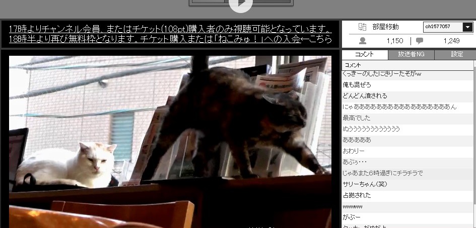 hidoi