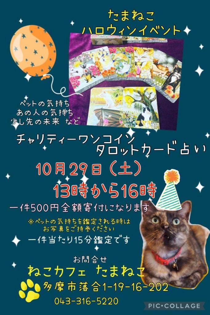 いよいよ明日は占いイベントとマルシェです！ | 多摩センターのねこ