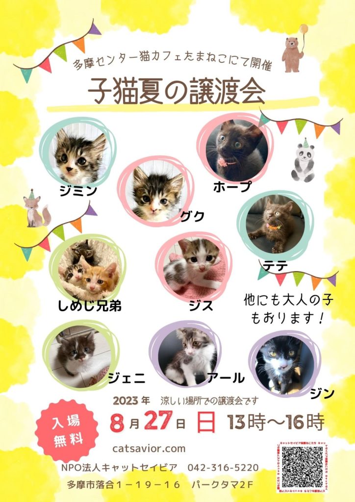 譲渡会のお知らせ♪ | 多摩センターのねこカフェ「たまねこ」